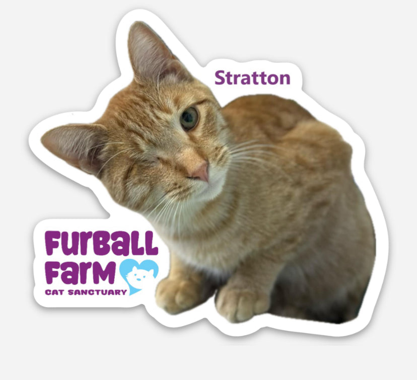 Furball Farm Cat Magnet