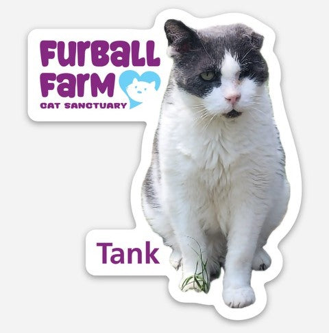 Furball Farm Cat Magnet