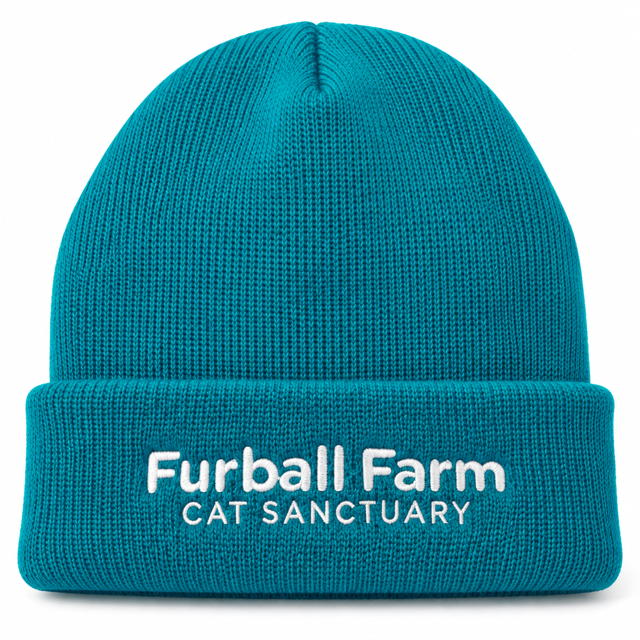 FFCS Beanie