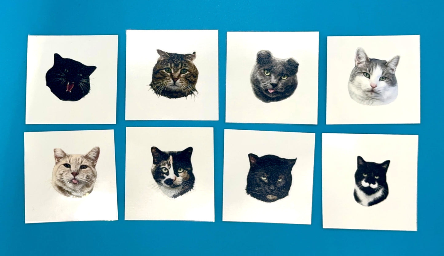 FFCS Cat Tattoos