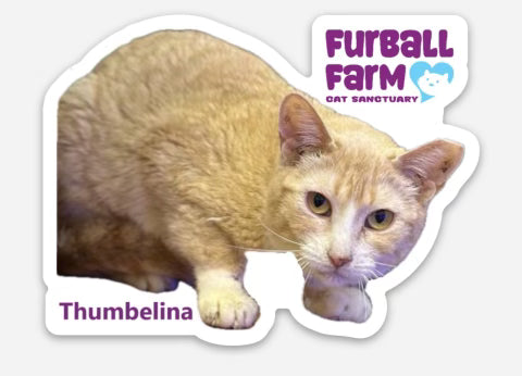 Furball Farm Cat Magnet