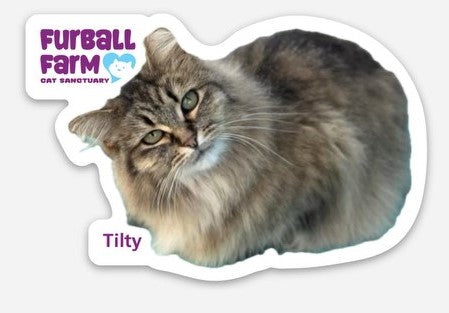 Furball Farm Cat Magnet