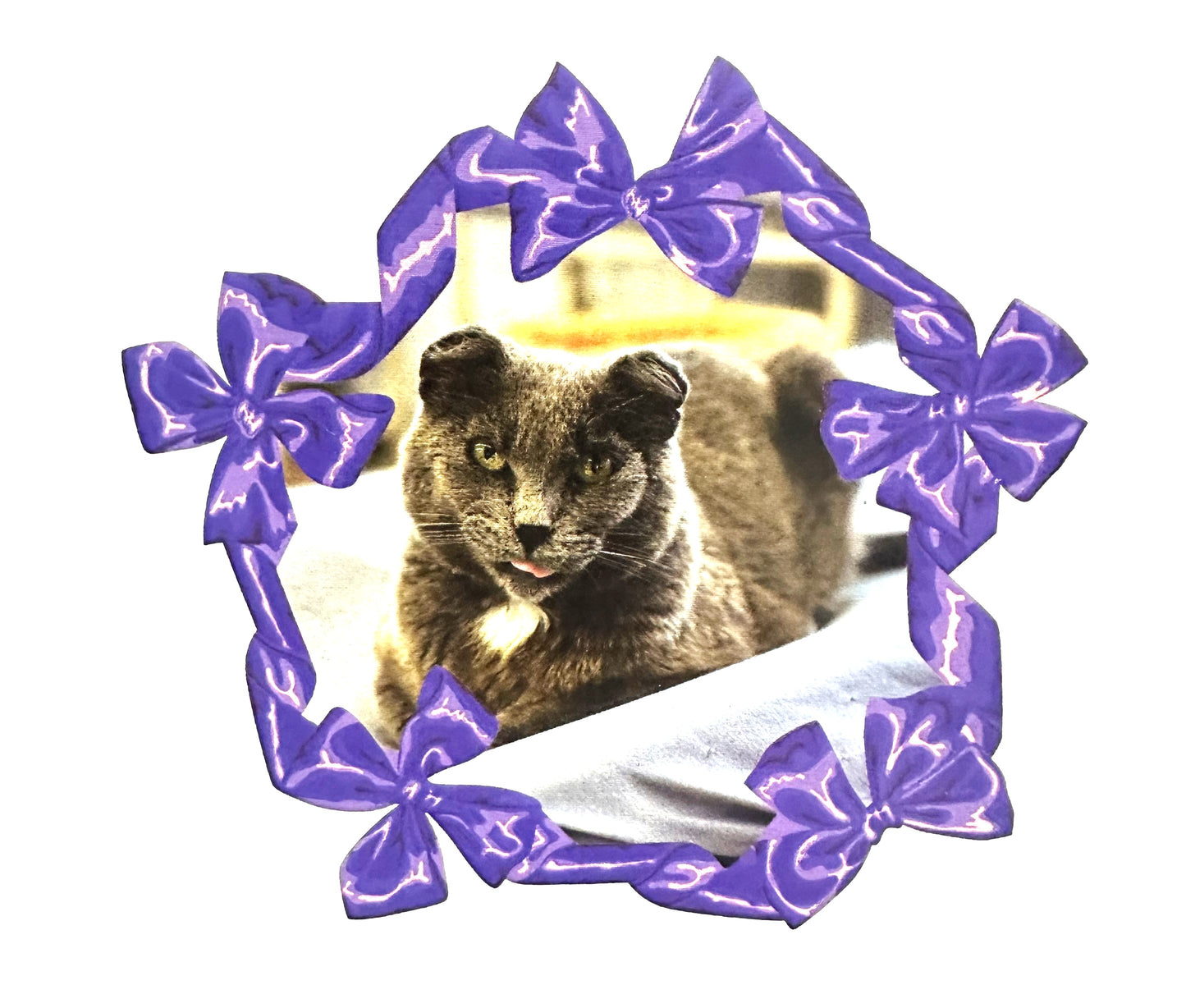 Furball Farm Holiday Cards