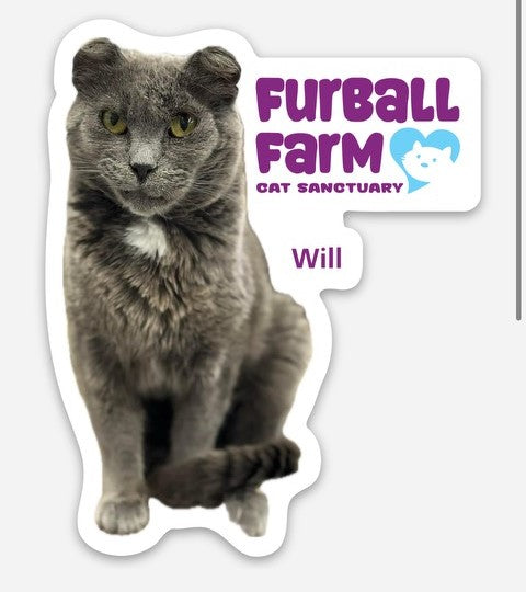 Furball Farm Cat Magnet