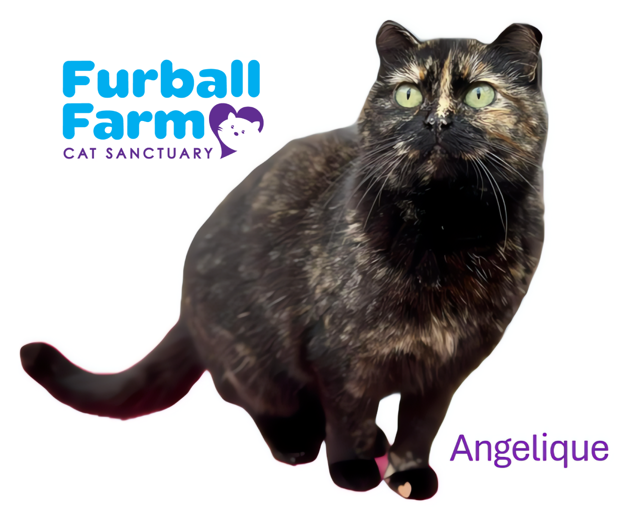 Furball Farm Cat Magnet