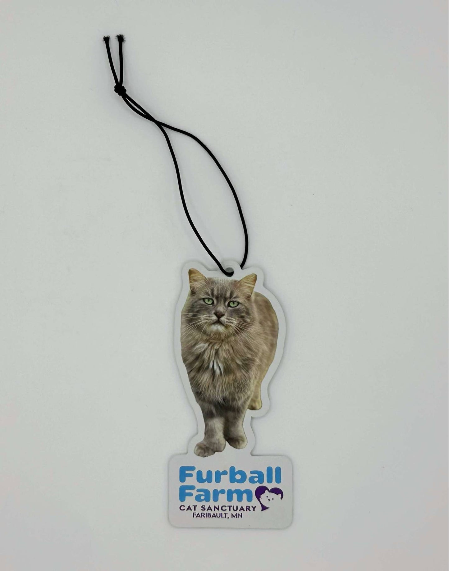 Air Freshener