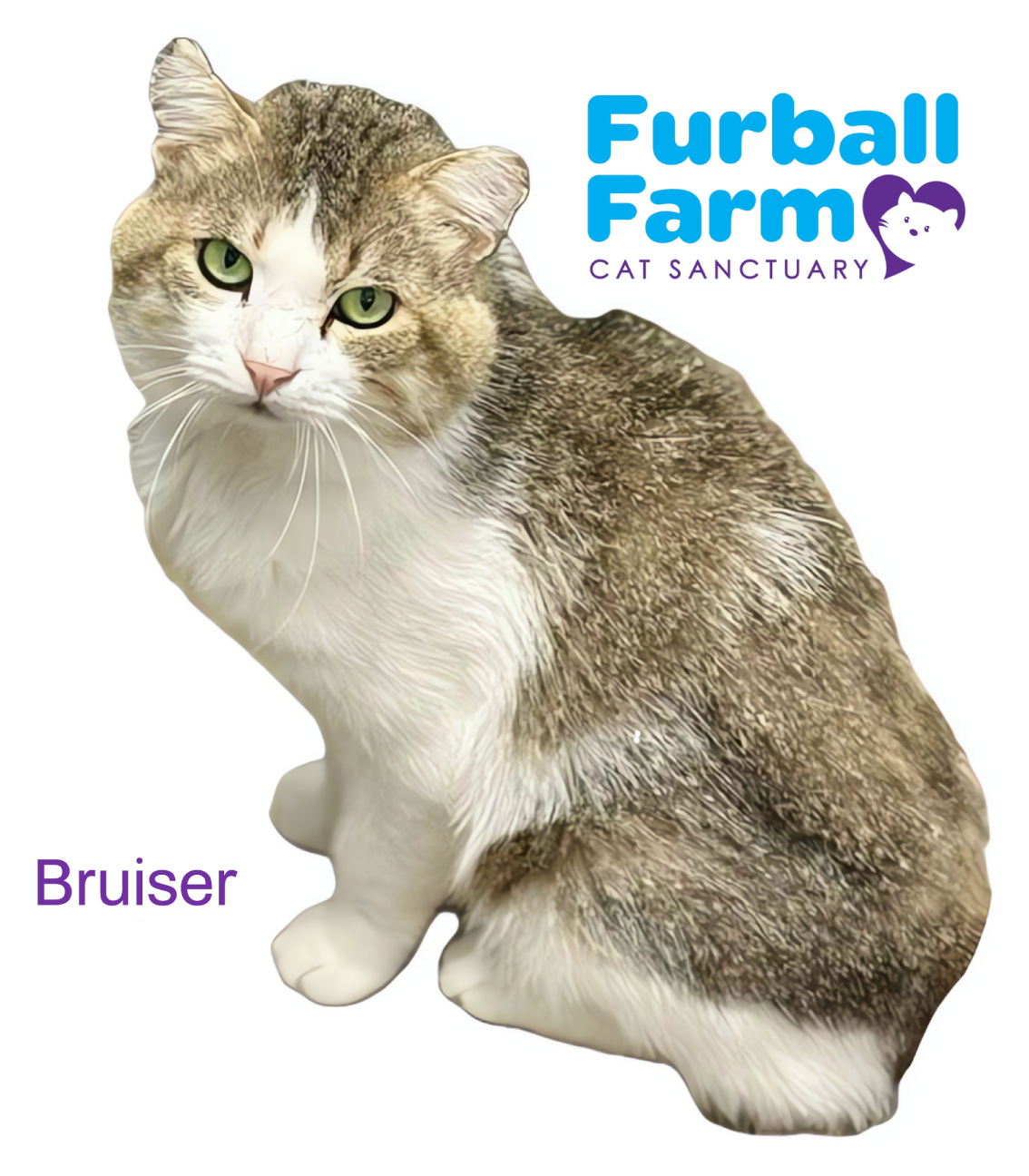 Furball Farm Cat Magnet