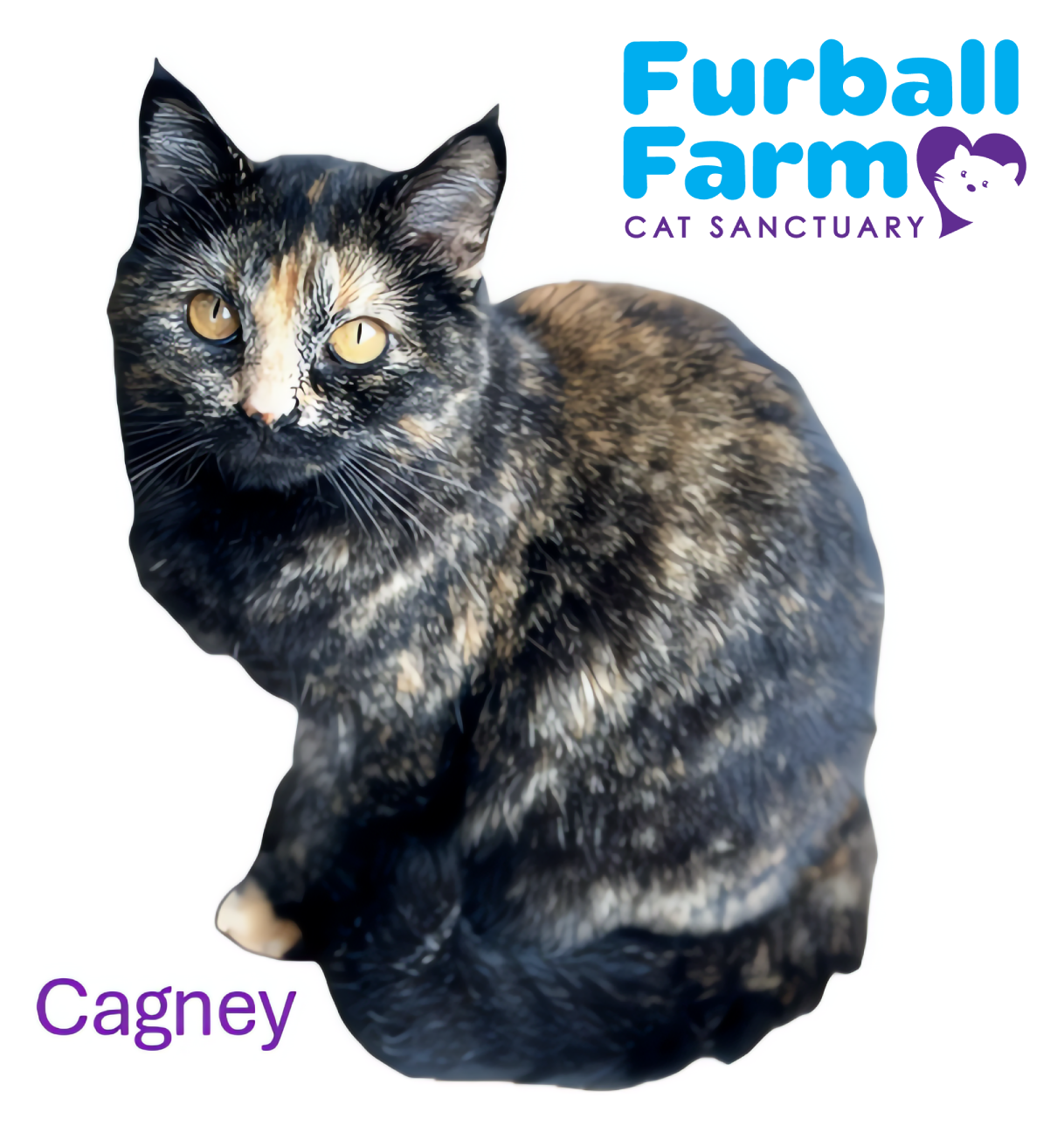 Furball Farm Cat Magnet