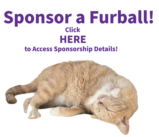 Monthly Sponsorship Program - with Keepsake