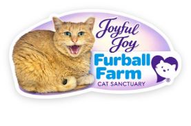 Furball Farm Cat Magnet