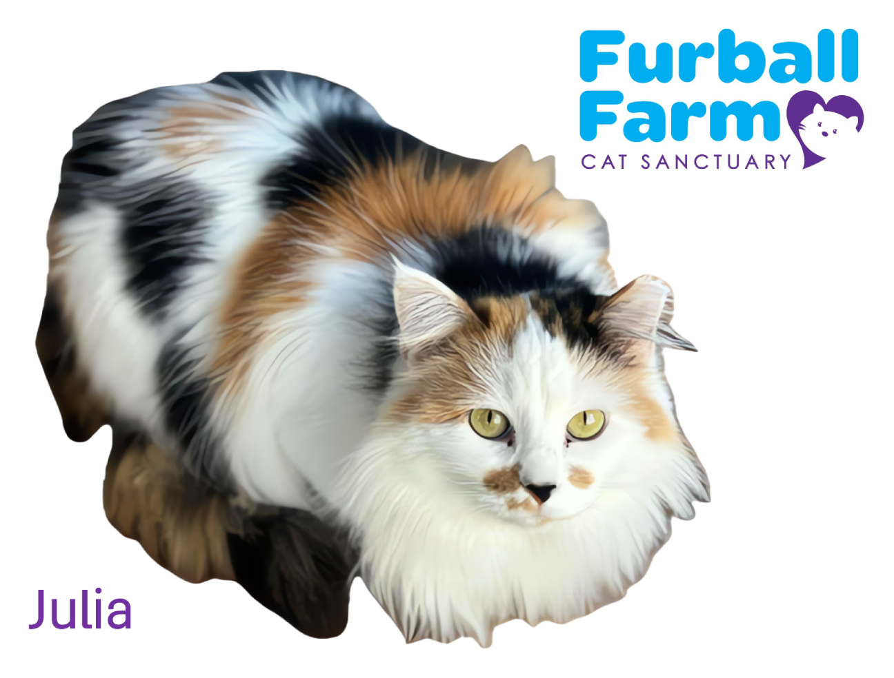 Furball Farm Cat Magnet