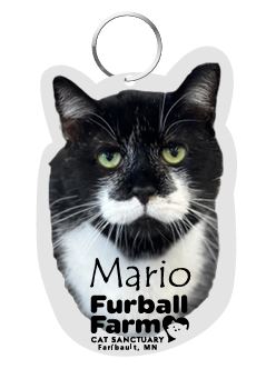 Mario Keychain