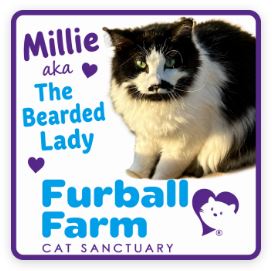 Furball Farm Cat Magnet