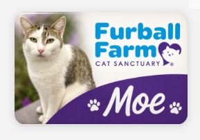 Furball Farm Cat Magnet