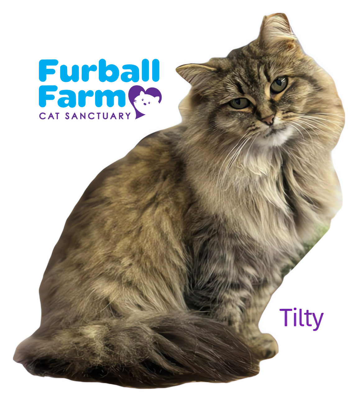 Furball Farm Cat Magnet