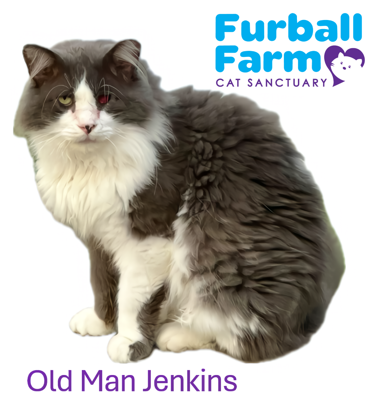 Furball Farm Cat Magnet