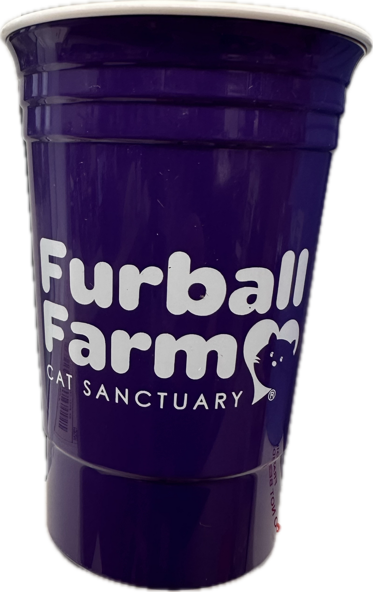 Furball Cup