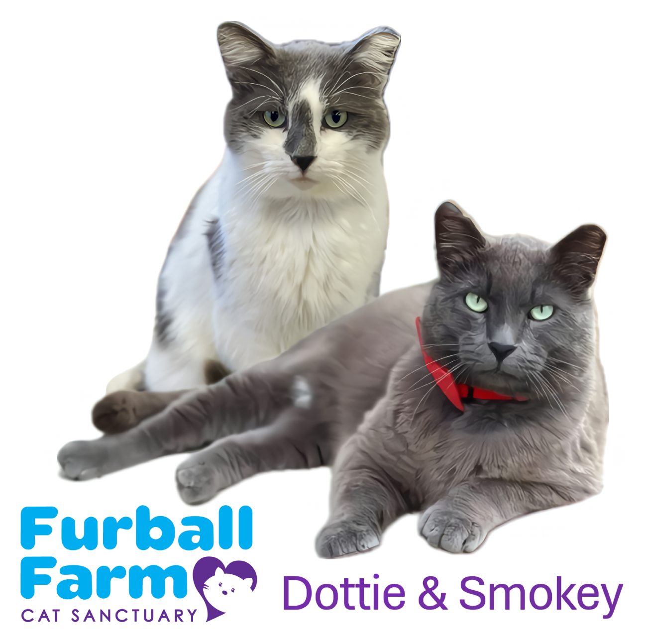 Furball Farm Cat Magnet