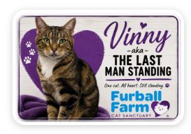 Furball Farm Cat Magnet