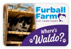 Furball Farm Cat Magnet